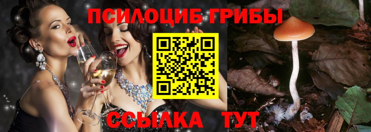 Галлюциногенные грибы Psilocybine cubensis  Галлюциногенные грибы GOLDEN TEACHER  Вход с VPN  Прохладный 